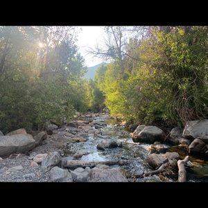 Meet your Posher, Lizbeth